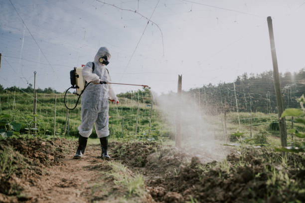 Best Pest Prevention Services  in Tillson, NY