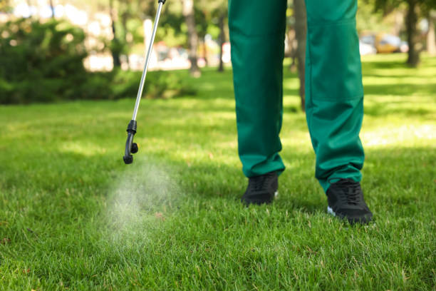 Insect Control in Tillson, NY