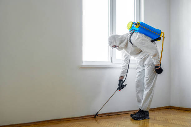 Reliable Tillson, NY Pest Control Solutions